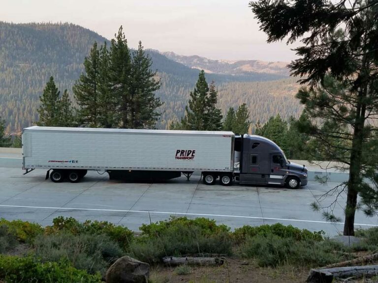 cdl truck driver 1 768x576